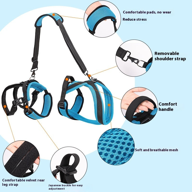 LiftEase – Support Harness with Shoulder Strap for Large Dogs