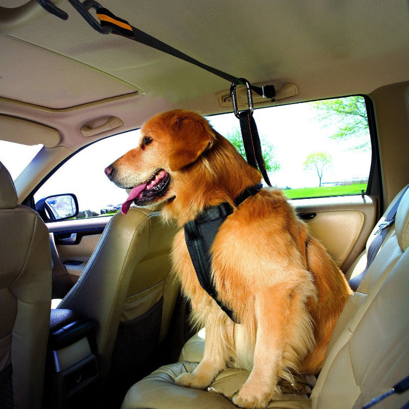 SafeStrap โ Nylon Dog Car Safety Tether with Freedom Line
