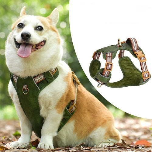 FlexGuard – Premium Leather Chest Harness