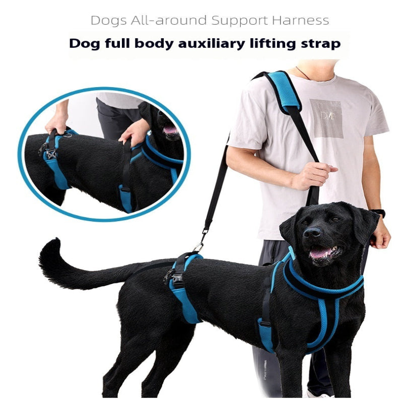 LiftEase – Support Harness with Shoulder Strap for Large Dogs
