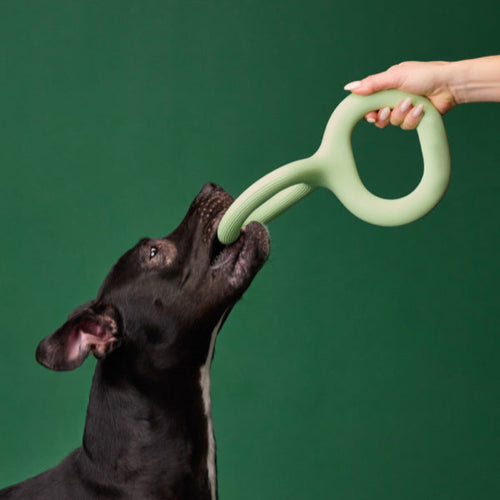 TugLoop β Durable Rubber Ring Toy for Dogs