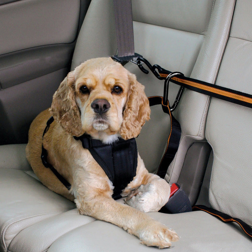 SafeStrap โ Nylon Dog Car Safety Tether with Freedom Line