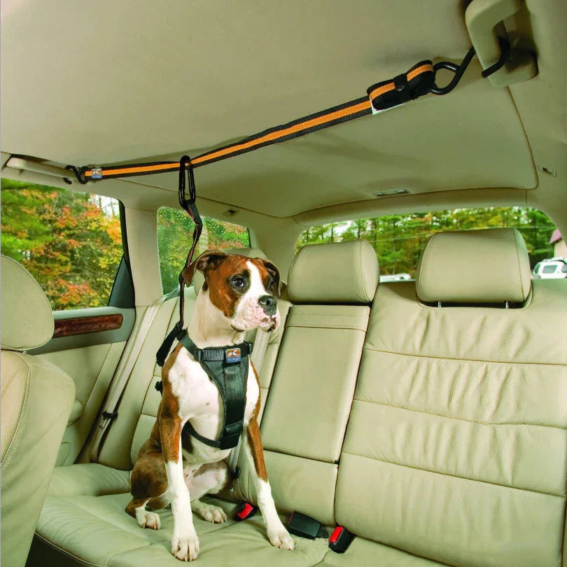SafeStrap β Nylon Dog Car Safety Tether with Freedom Line