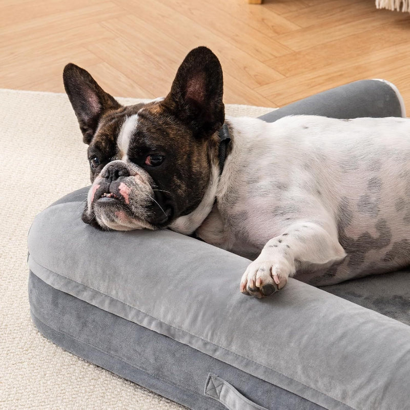 DreamRest Ortho โ Egg Foam Dog Sofa Bed
