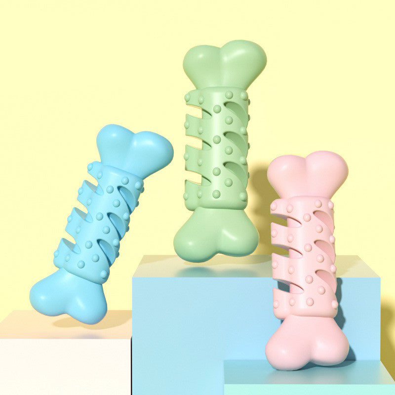 ChewBuddy Bone β Colorful TPR Toy for Dogs