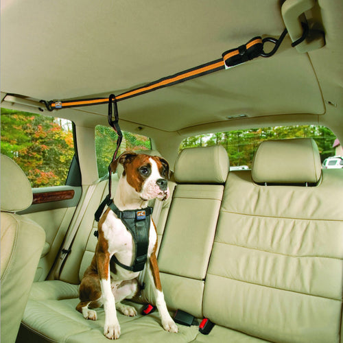 SafeStrap โ Nylon Dog Car Safety Tether with Freedom Line