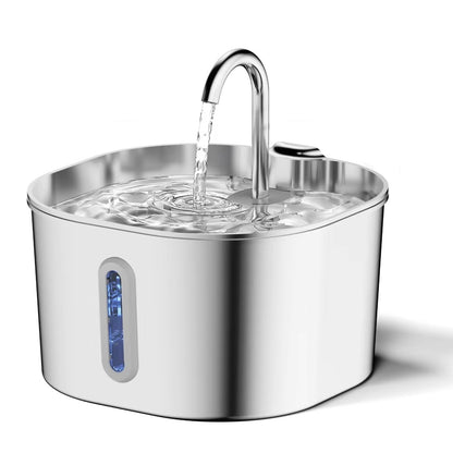 Dog Water Fountain