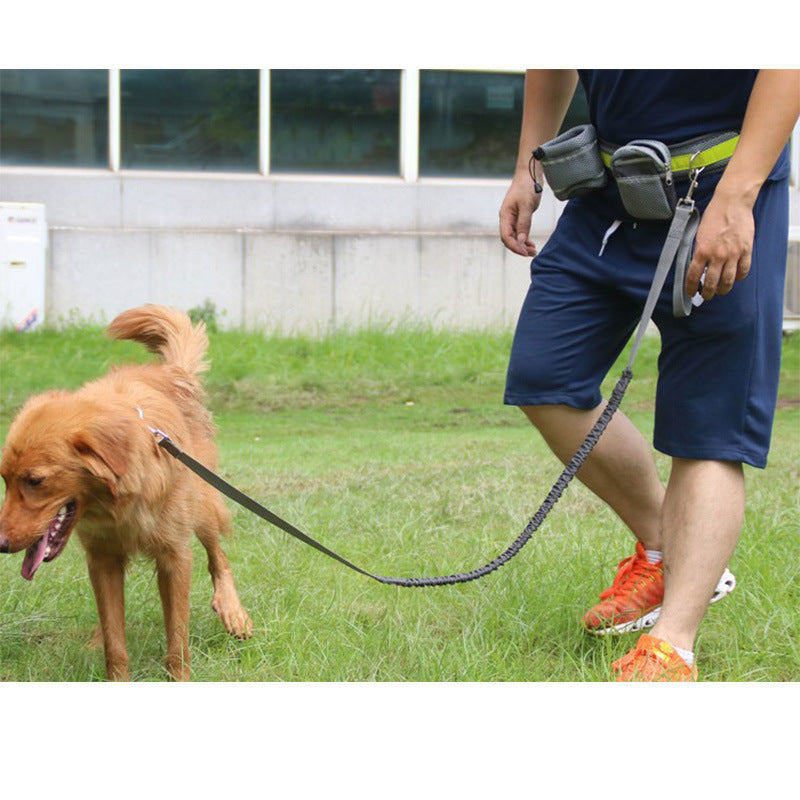RunFree Hands-Free Running Leash Set