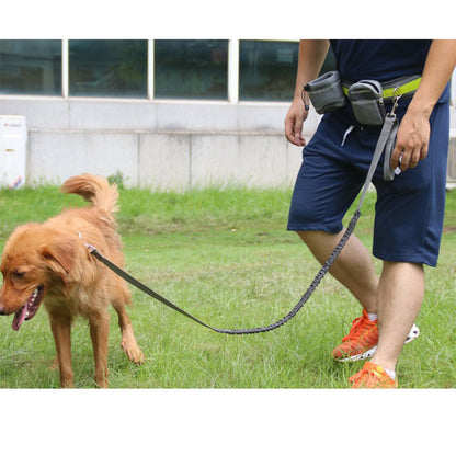 RunFree Hands-Free Running Leash Set