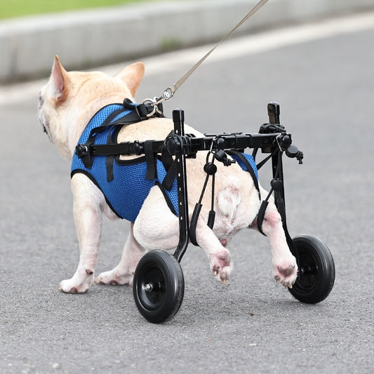 WheelieBuddy – Adjustable Rear Support Dog Wheelchair