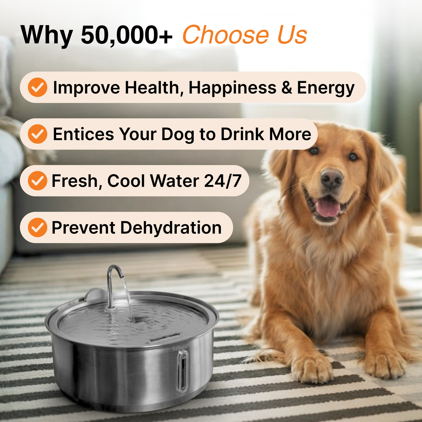 Dog Water Fountain