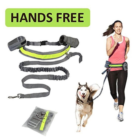 RunFree Hands-Free Running Leash Set