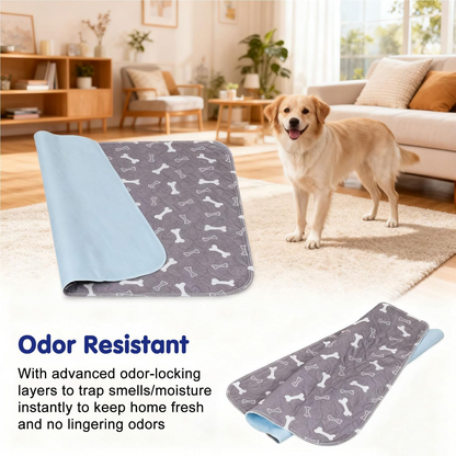 Forever Dog Pee Pad