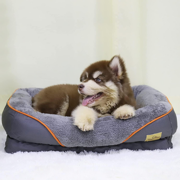 Orthopedic Foam Pet Bed