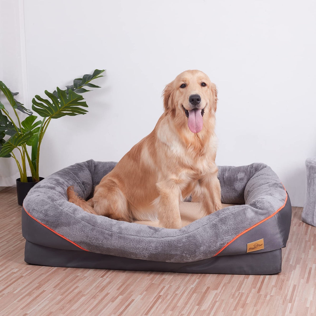 Orthopedic Foam Pet Bed