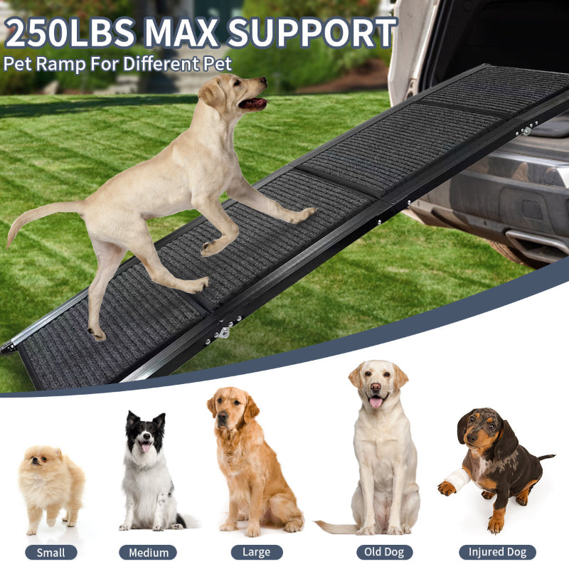 Car Ramp For Dogs