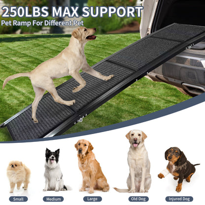 Car Ramp For Dogs
