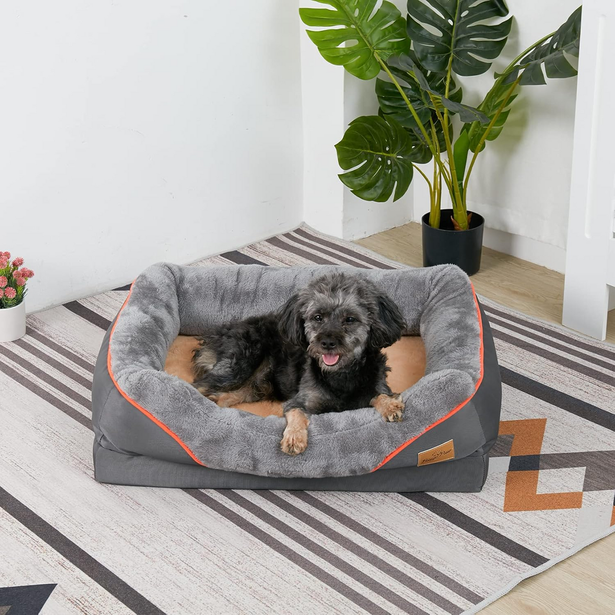 Orthopedic Foam Pet Bed