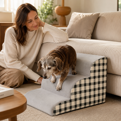 ComfortStep – Sanfte Sofa-Stufen für ältere Hunde