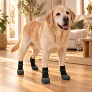 GripSocks – Anti-Rutsch-Socken für ältere Hunde (4 Stück)