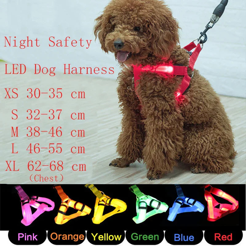 LED Neon Safety Harness