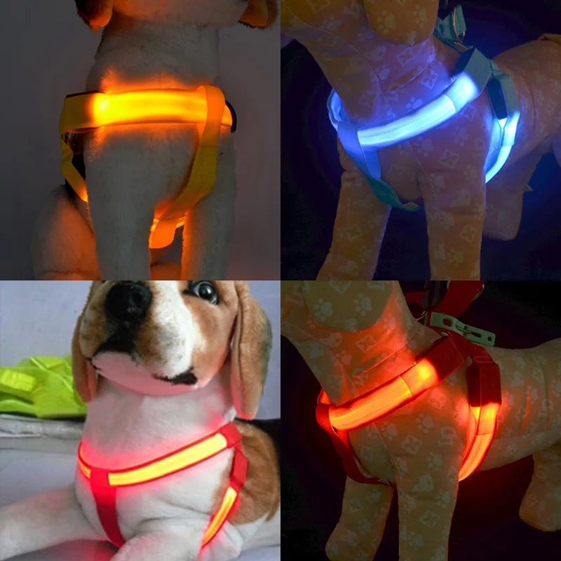 LED Neon Safety Harness