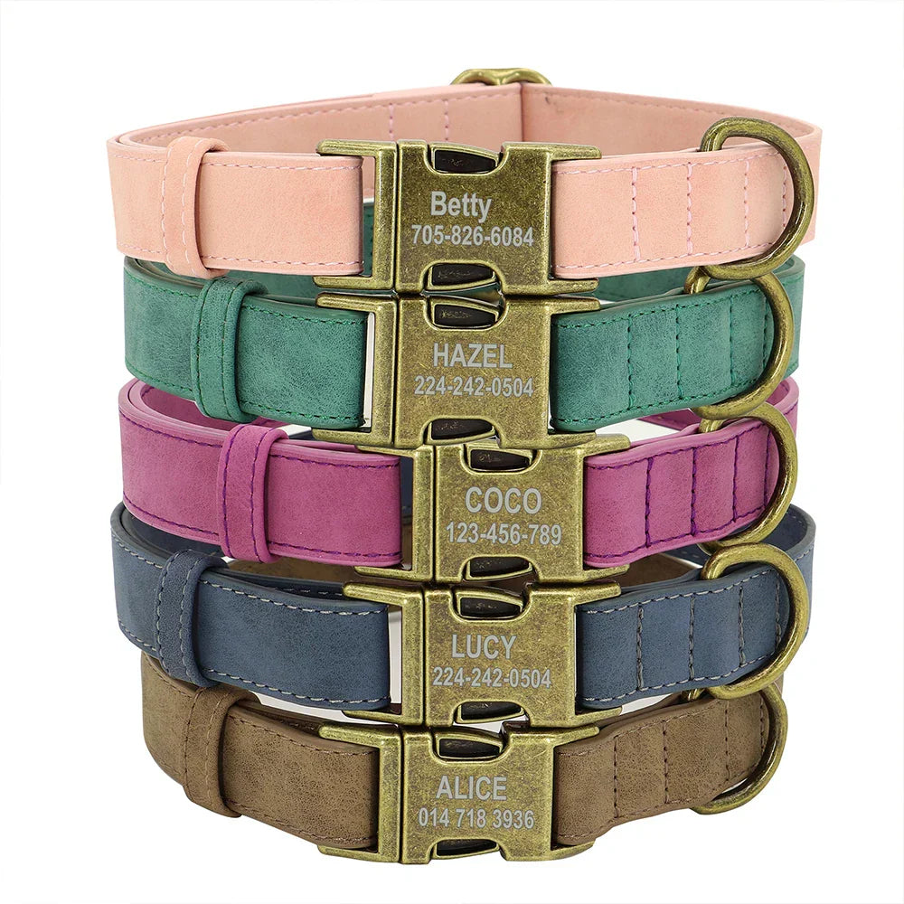 Personalized Dog ID Collar