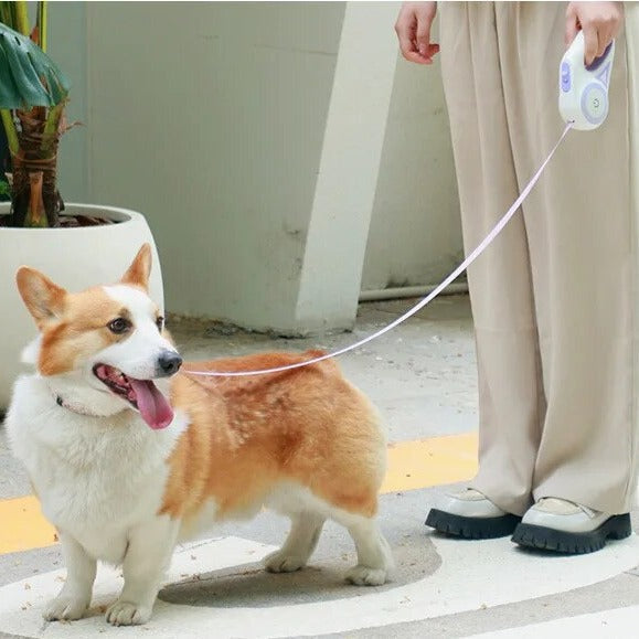 LED Retractable Dog Leash