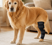 KneeGuard – Gelenk-Kompressionsbandage für Hunde