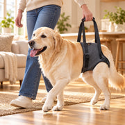 LiftAssist – Tragehilfe für die Hinterbeine älterer Hunde
