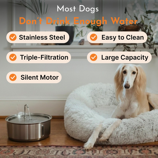 Dog Water Fountain
