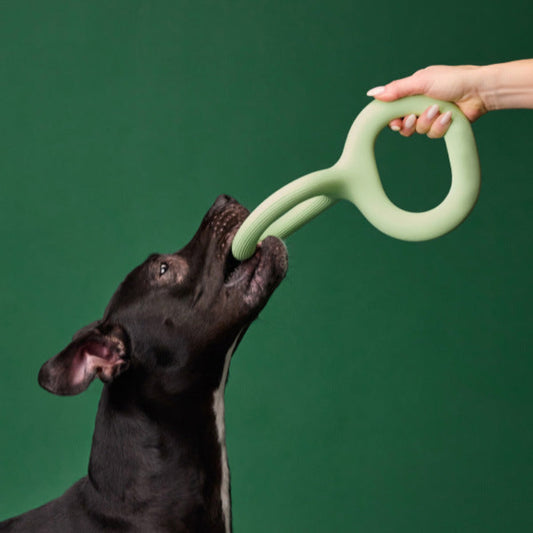 TugLoop – Durable Rubber Ring Toy for Dogs