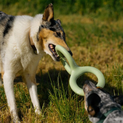 TugLoop – Durable Rubber Ring Toy for Dogs