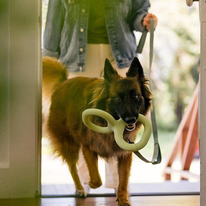 TugLoop – Durable Rubber Ring Toy for Dogs