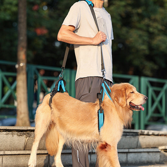 LiftEase – Support Harness with Shoulder Strap for Large Dogs
