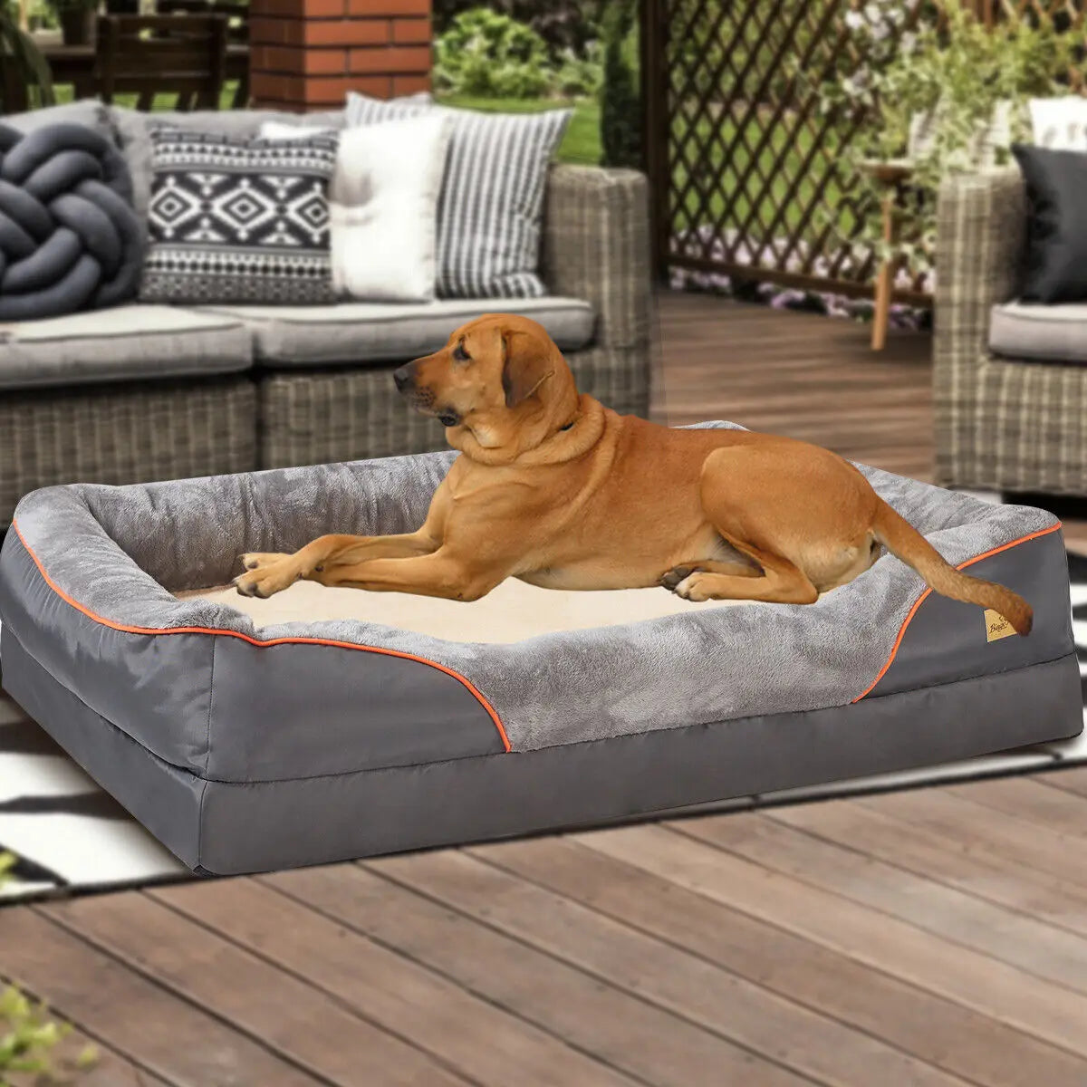 Orthopedic Foam Pet Bed