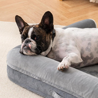 DreamRest Ortho – Egg Foam Dog Sofa Bed