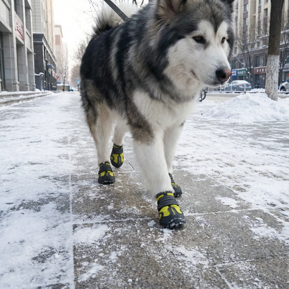 PawShield Waterproof Dog Boots